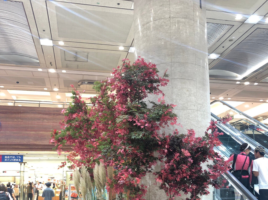 Yokohama Porta-Nishi必去景点