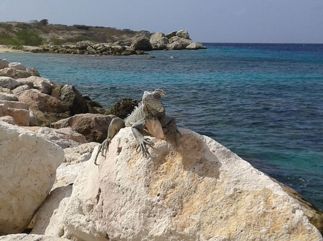 Bayside Boutique Hotel主图