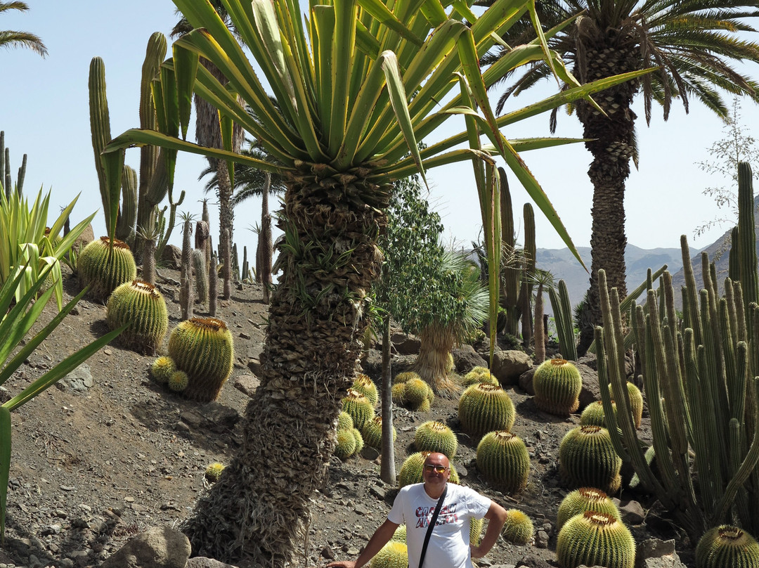 Cactualdea Park景点图片