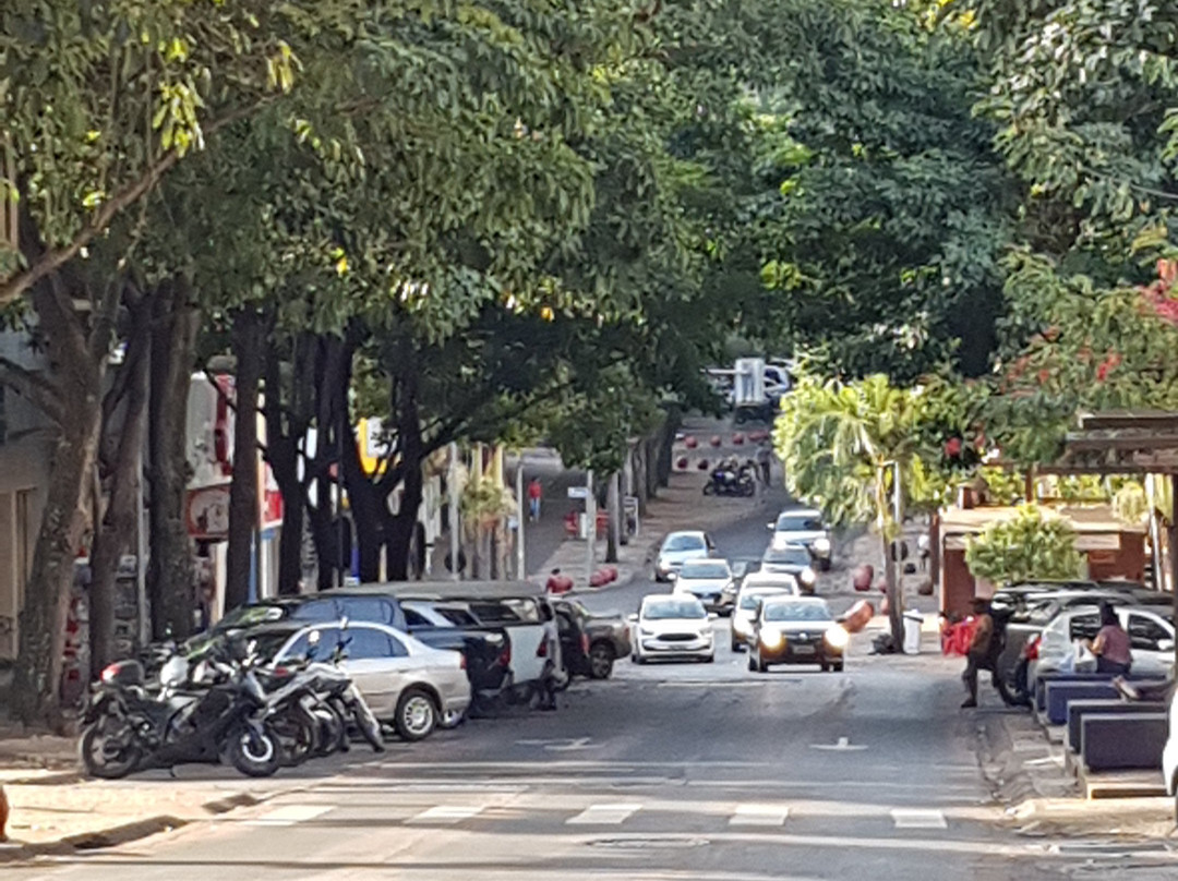 Avenida Jorge Schimmelpfeng-伊瓜苏必去景点