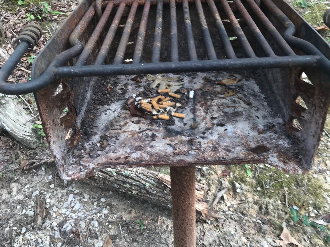 Cumberland Falls State Resort - Dupont Lodge主图