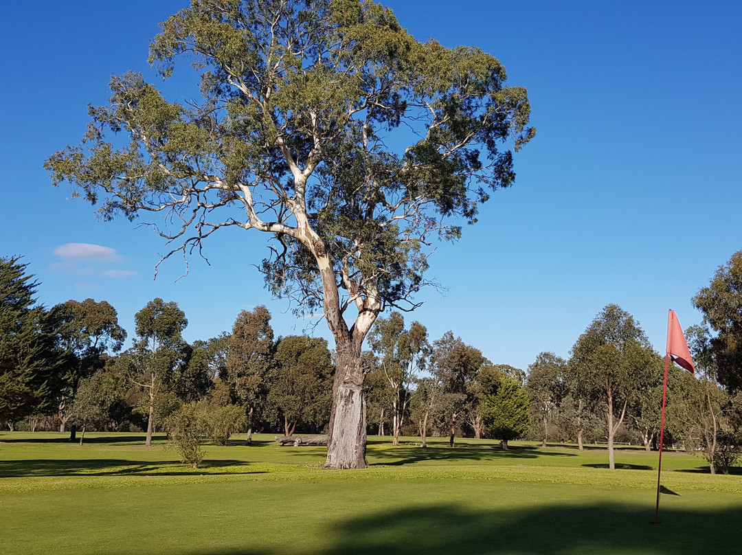 Strathallan Golf Club景点图片