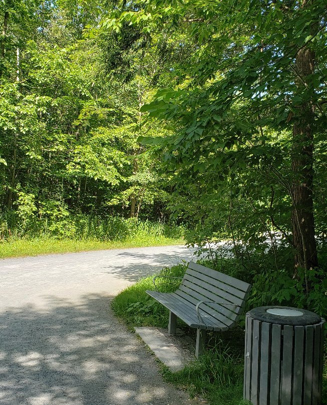 Parc Les Salines-圣亚森特必去景点