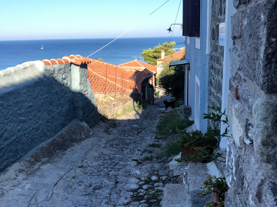 Nassos Guest House主图