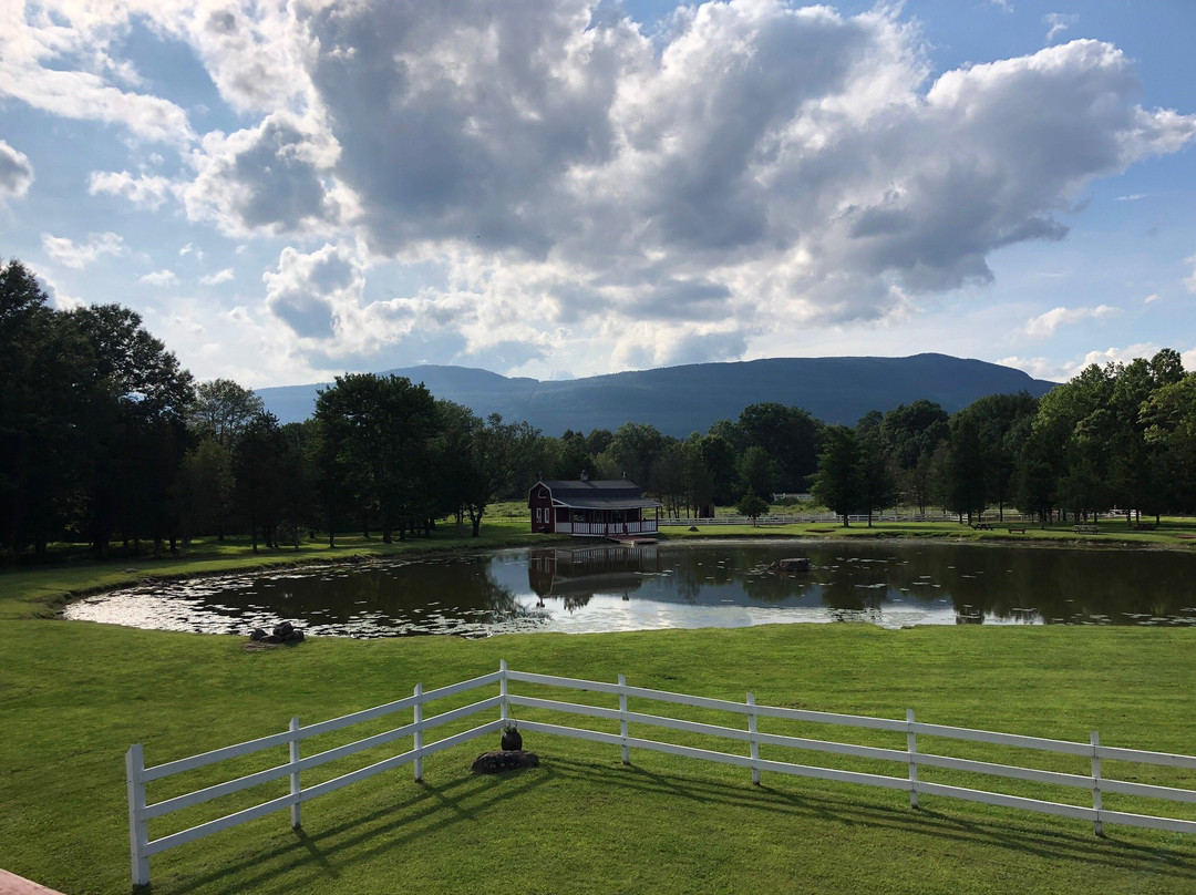 The Kaaterskill主图