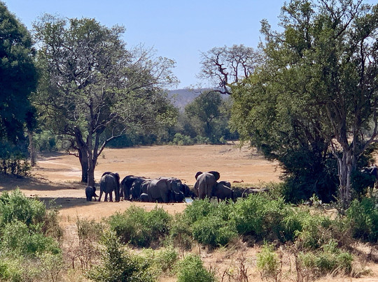 Elephant Plains Game Lodge主图