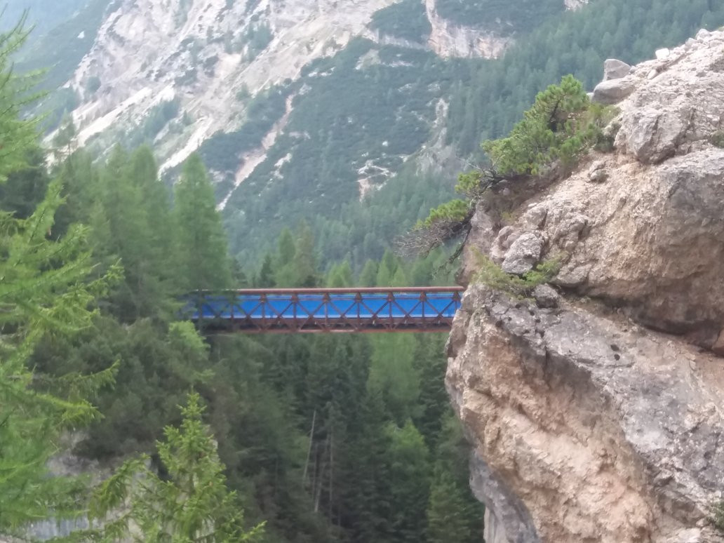 Ciclabile Cortina - Cimabanche - Dobbiaco-科尔蒂纳丹佩佐必去景点