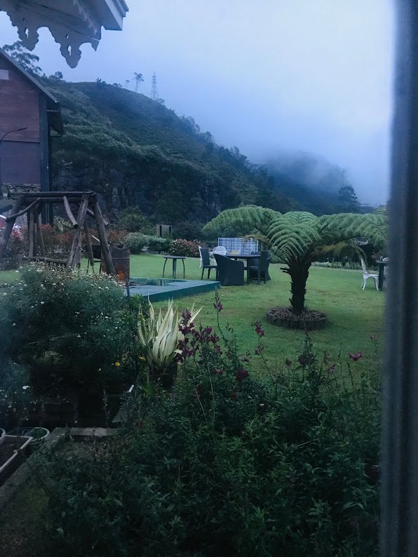 克洛弗利别墅-酒店景观