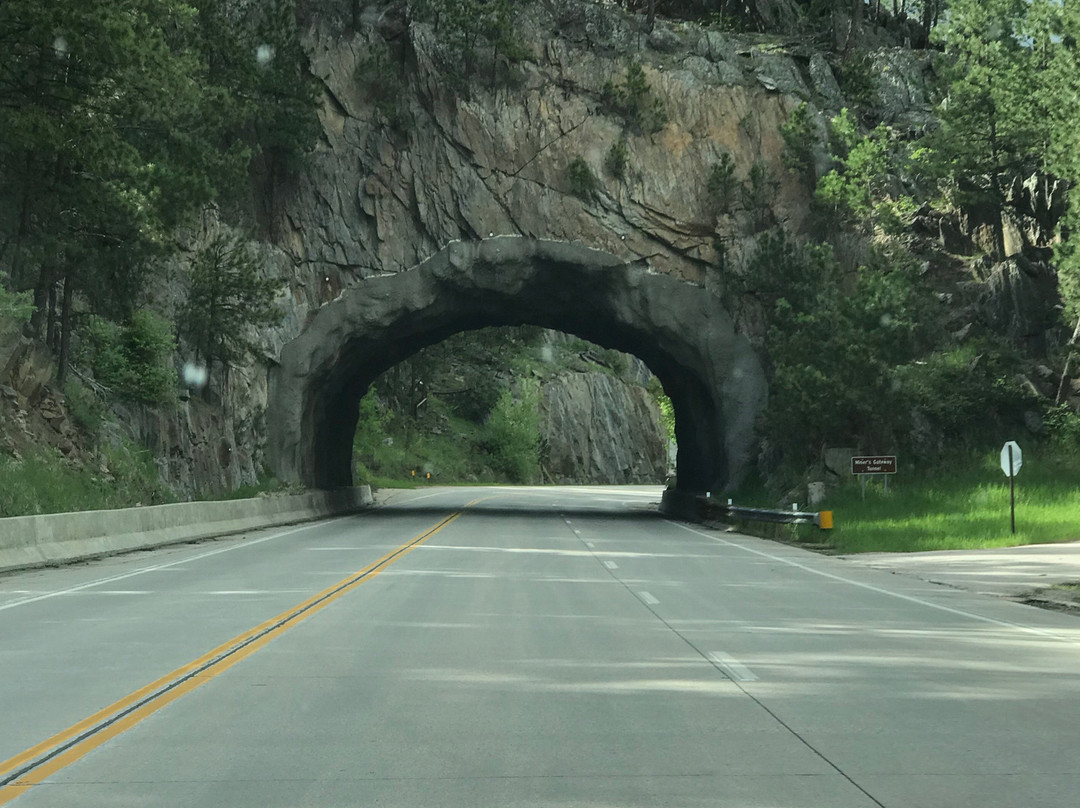 Iron Mountain Road-卡斯特必去景点