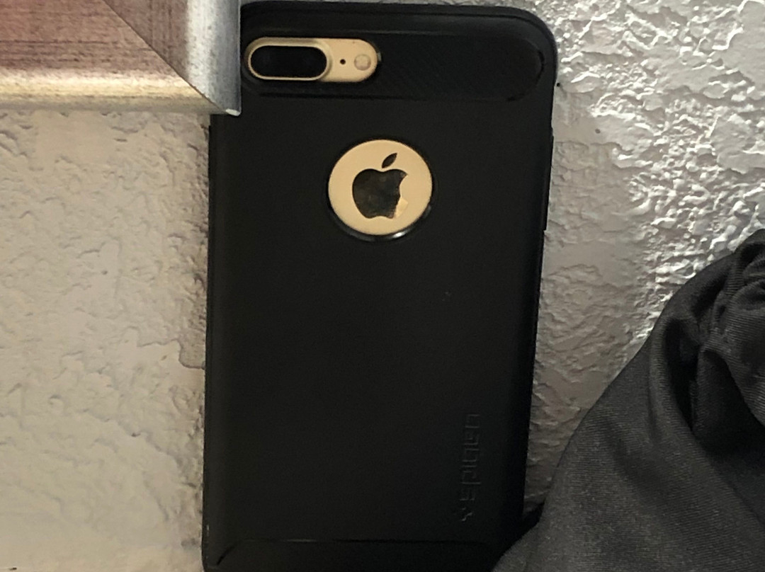 Best Western Thunderbird Motel主图