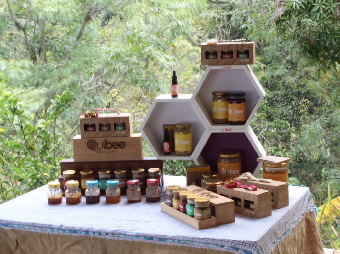 La Ruta de la Miel-Quipile必去景点