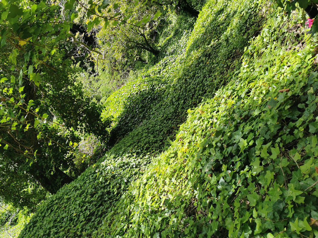 Grotta Dei Mulini景点图片
