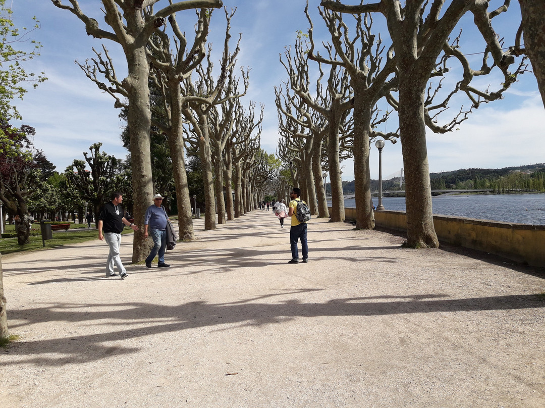 Parque Verde do Mondego景点图片