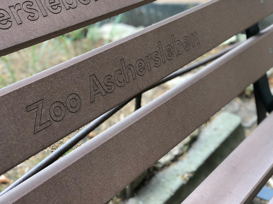 Zoo Aschersleben景点图片