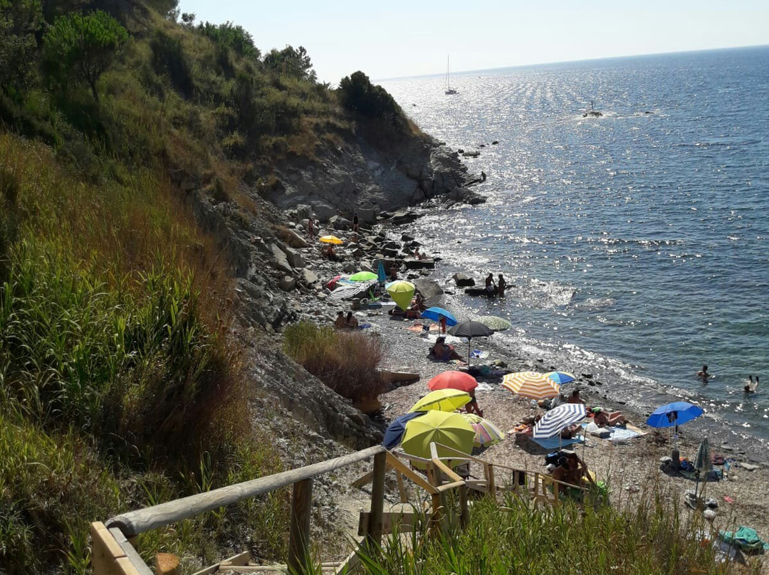 Spiaggia di San Francesco景点图片