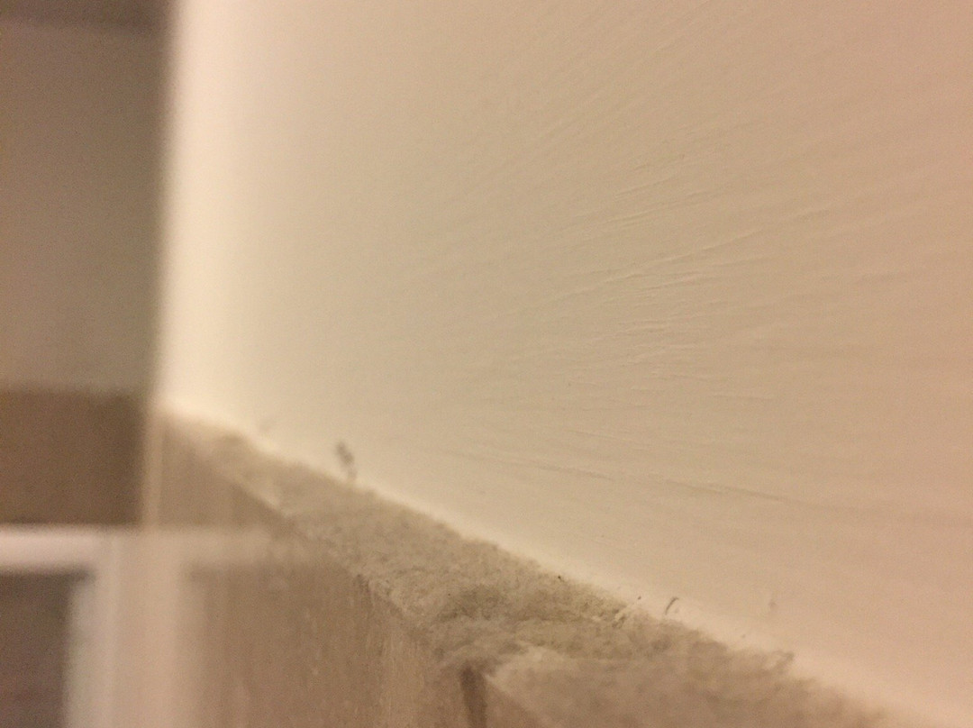 L'Ottava Hotel主图