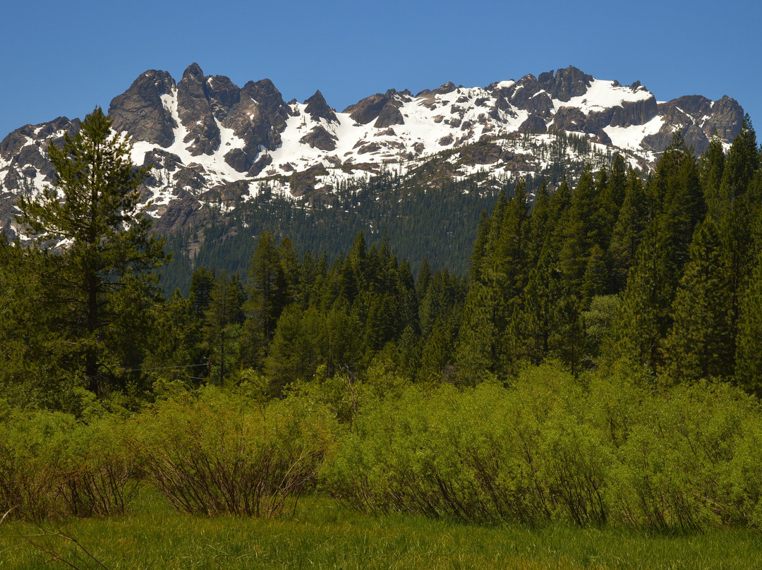 The Lure Resort主图