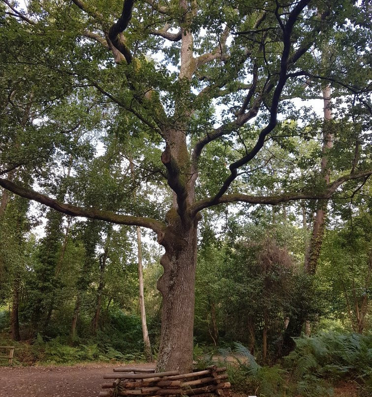 Arche de la Nature景点图片
