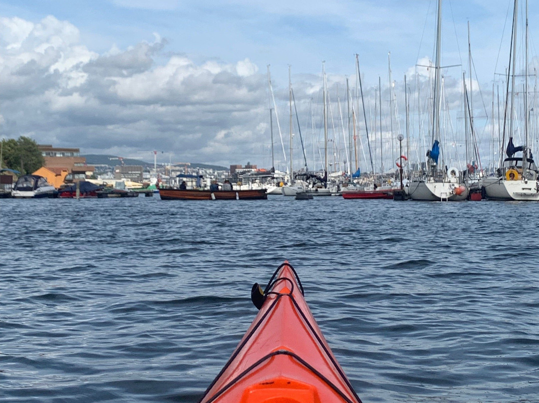 Oslo Kayak Tours-奥斯陆必去景点
