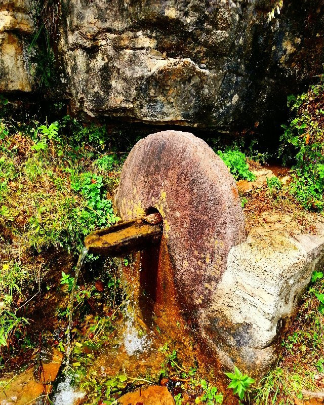 Yedidegirmenler Tabiat Parki景点图片