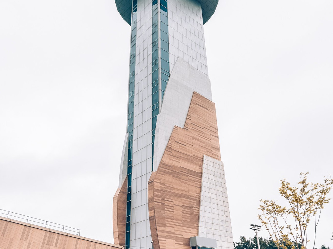 Ulsan Bridge Observatory-蔚山必去景点