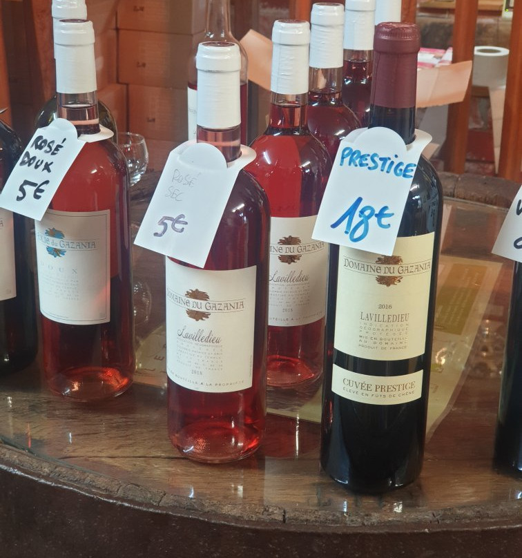 Serre Exotique Domaine du Gazania景点图片