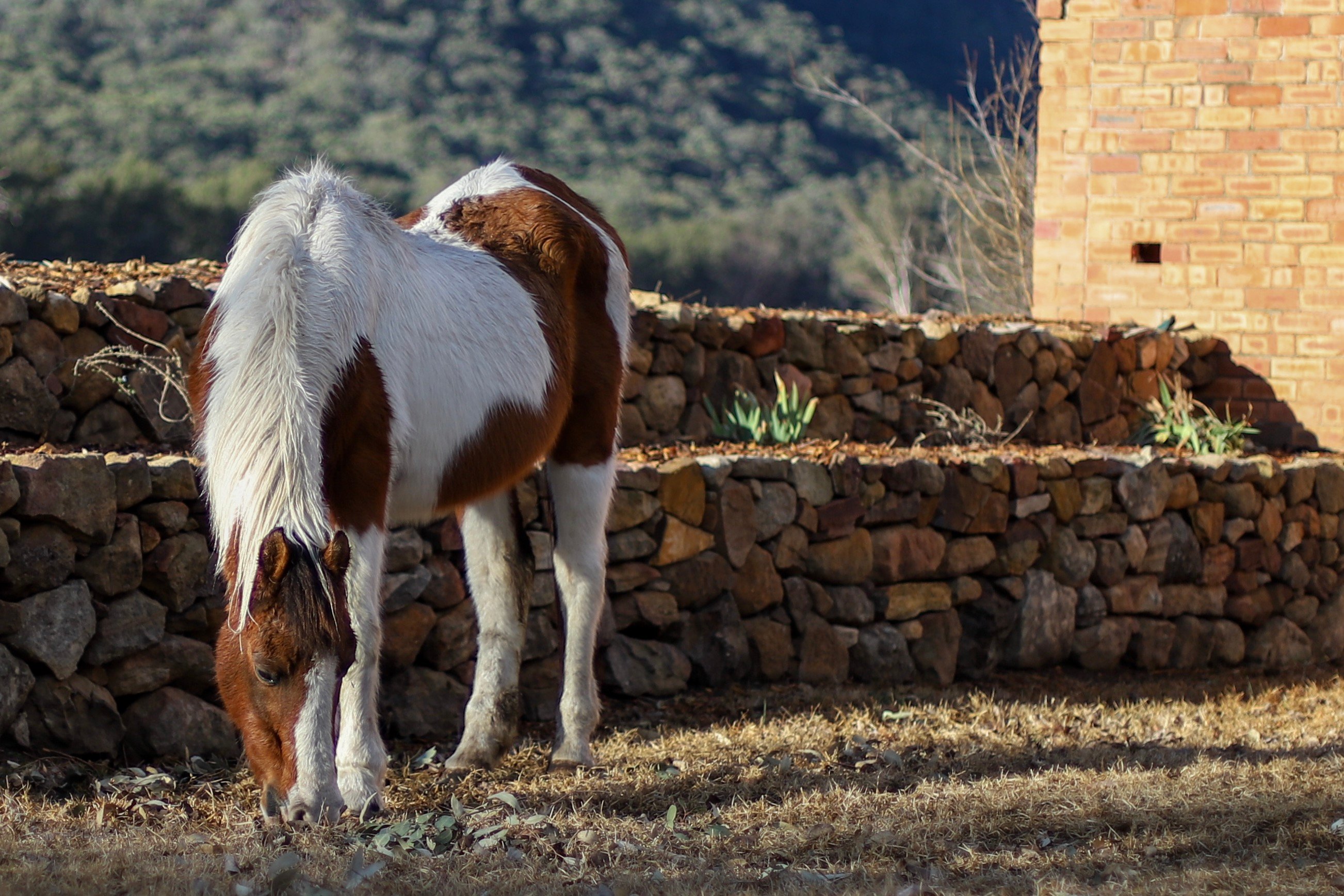 华生湾酒店-官方