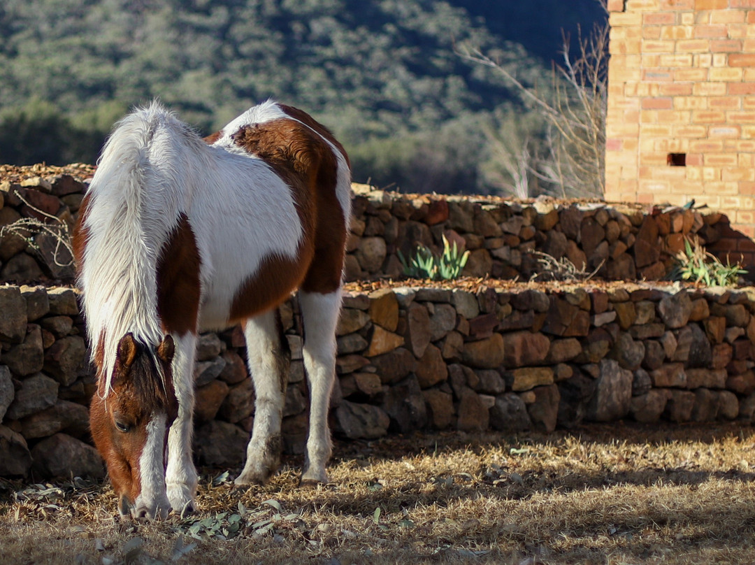 华生湾酒店主图