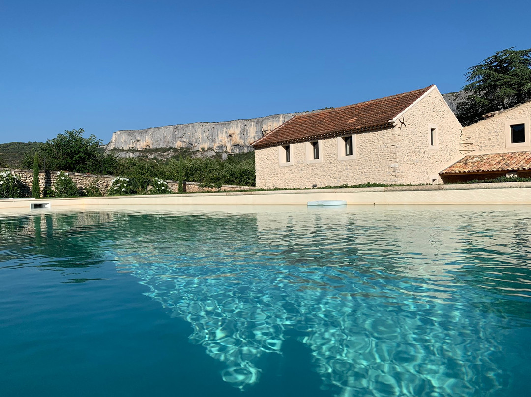 Mas aux Cedres主图