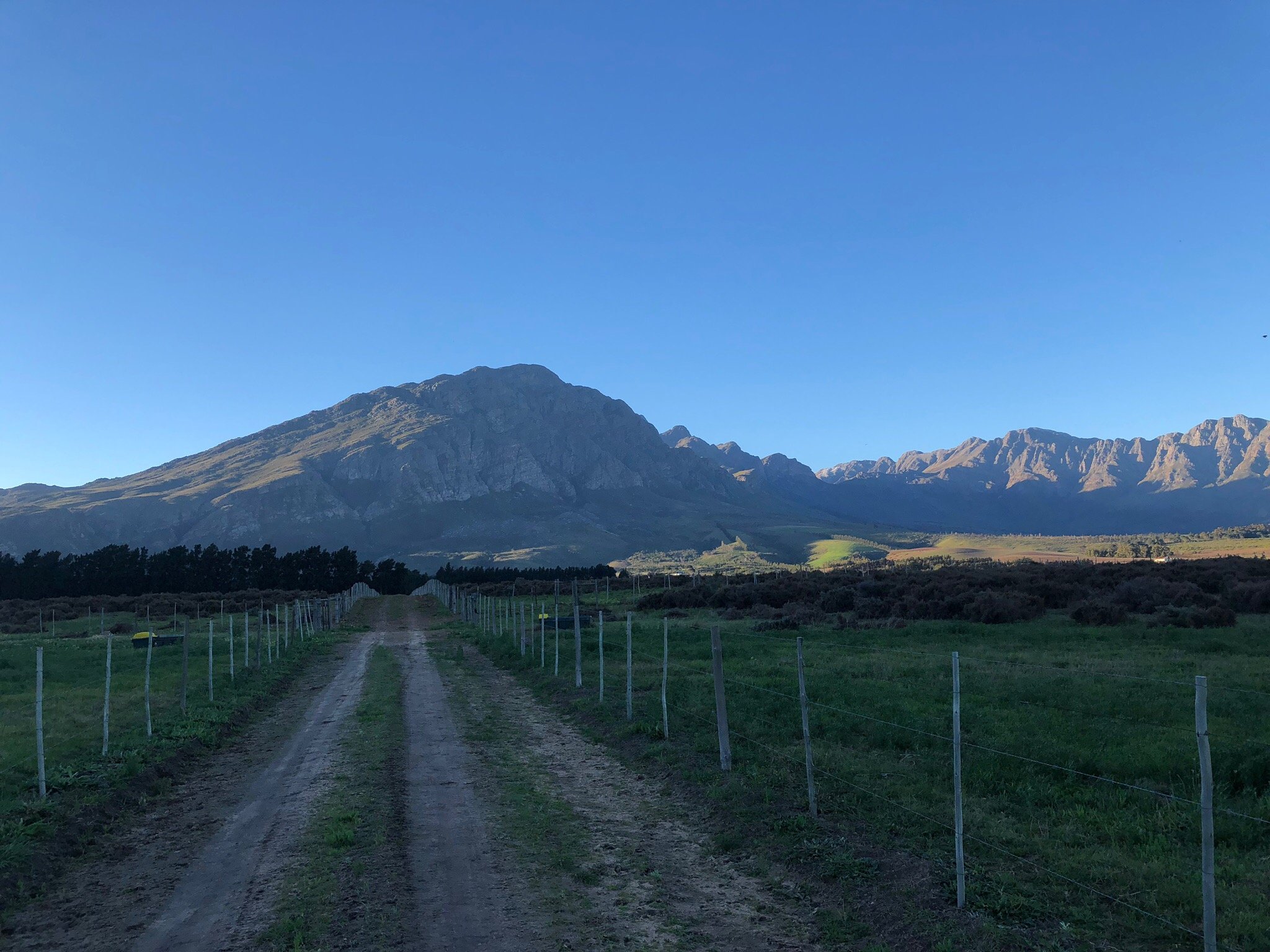 Themika Guest Farm-官方