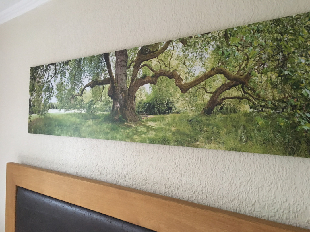 Ruter's Hotel & Restaurant主图