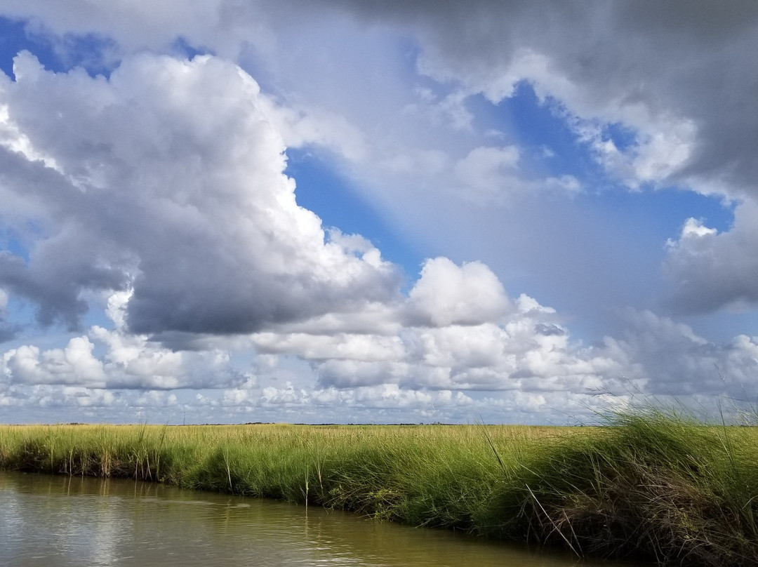 Matagorda Adventure Company-Matagorda必去景点