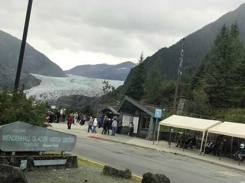 Alaska Whale Watching-朱诺必去景点