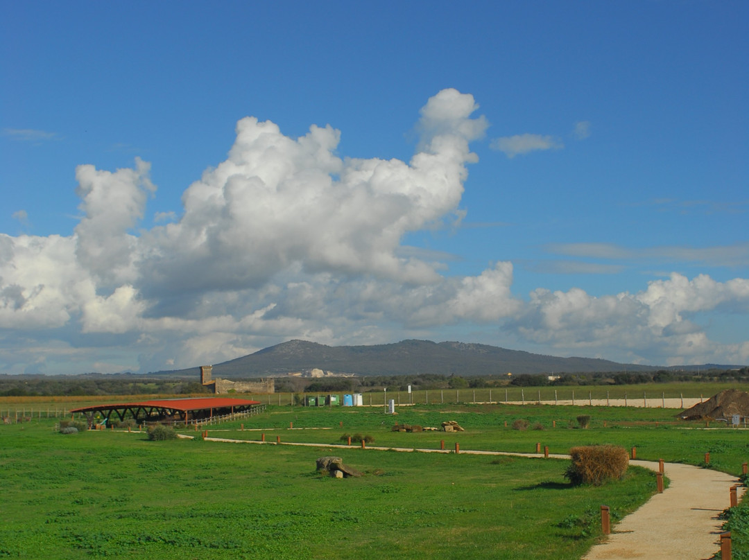 Vulci-Montalto di Castro必去景点