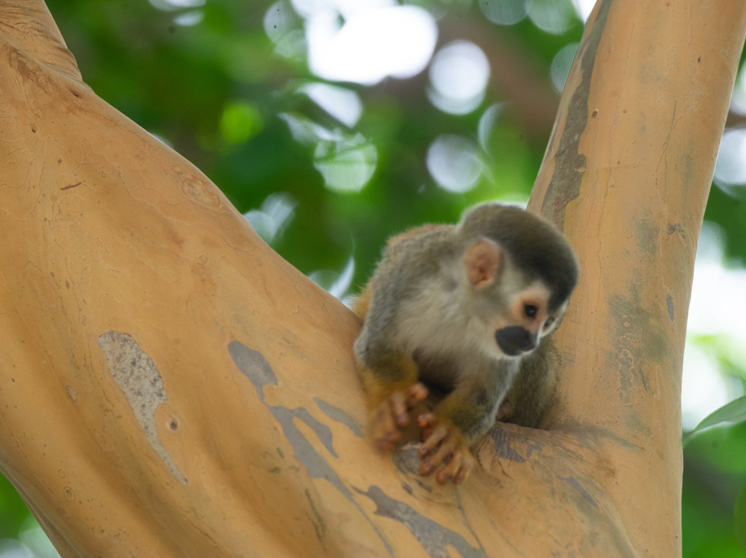 Gaia Hotel & Reserve主图