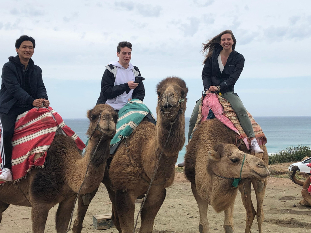 tangier tours guide (color)-丹吉尔必去景点