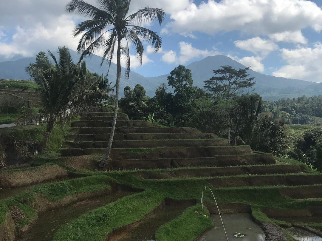 Canggu Bali Driver景点图片