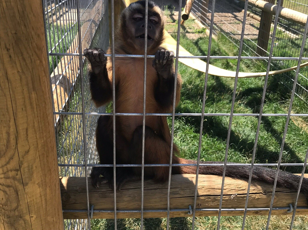 Babby Farms-Caldwell必去景点