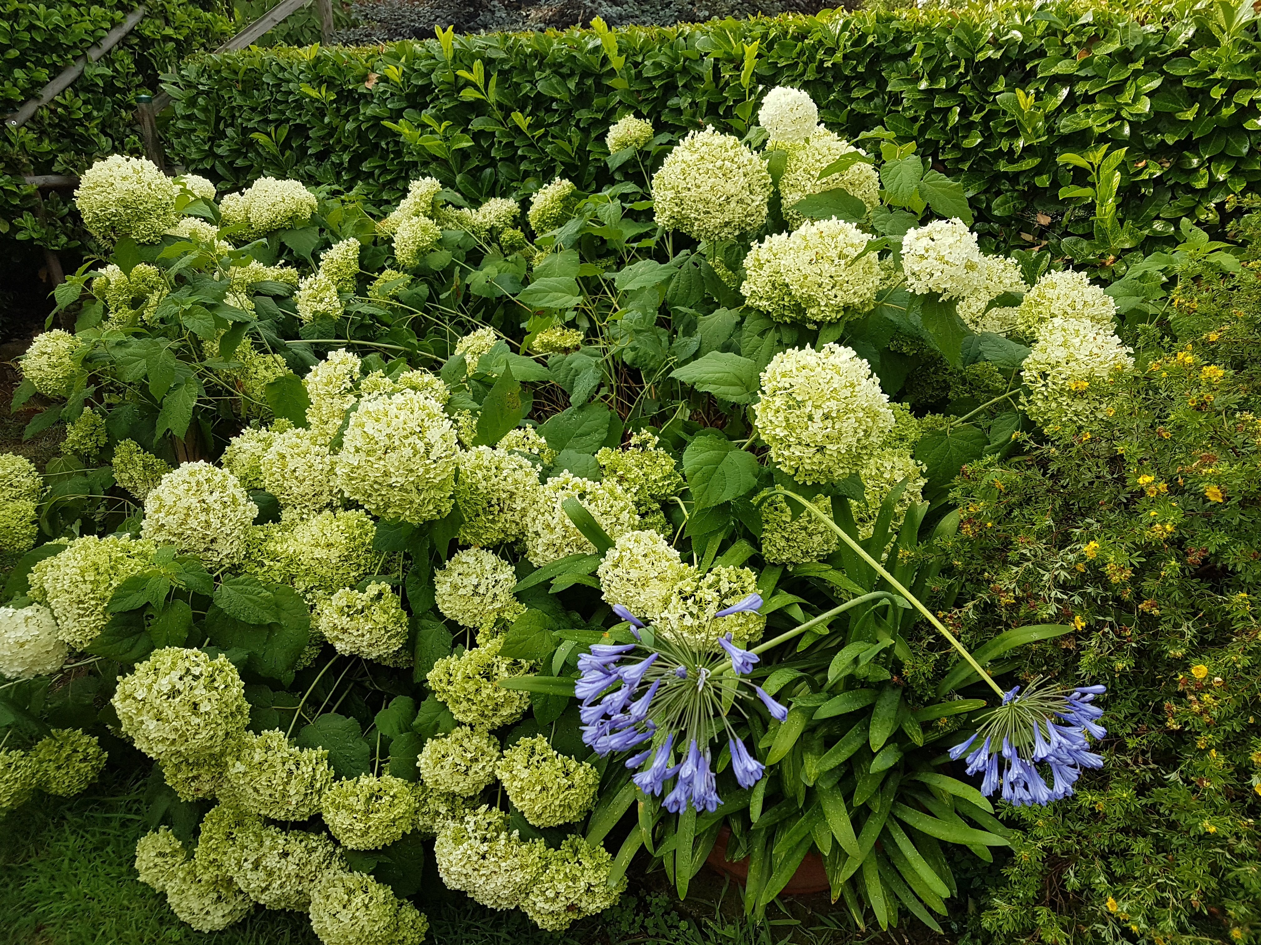 B&B La Collina-官方