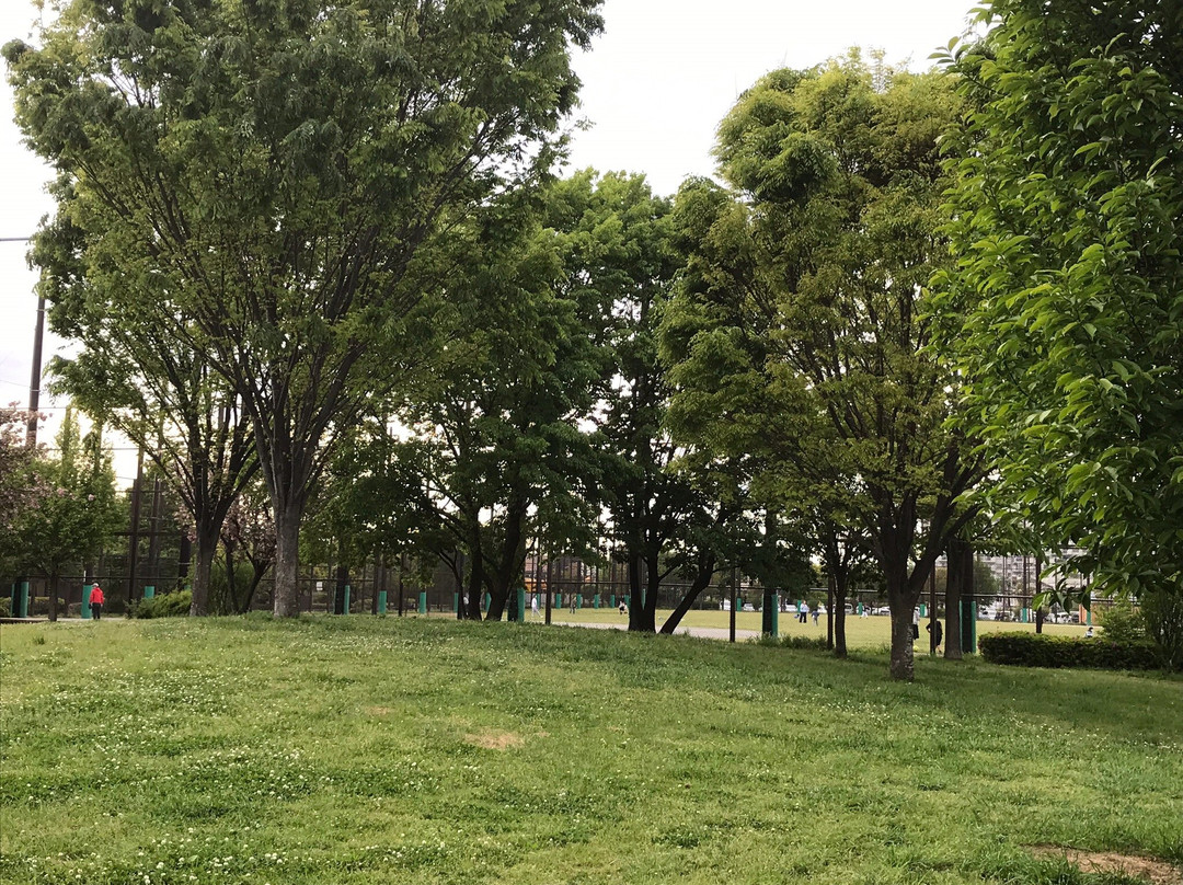 Ukita Park-江戸川区必去景点
