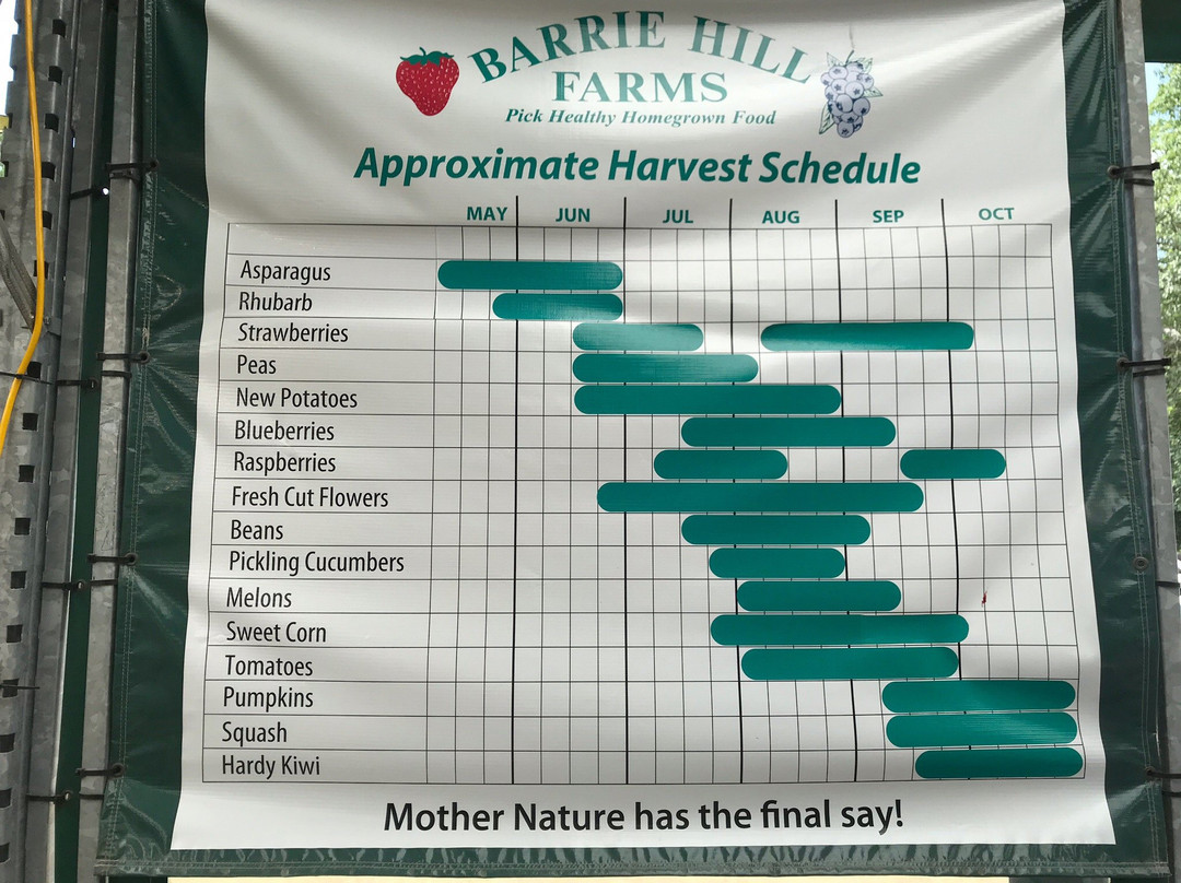 Barrie Hill Farms景点图片