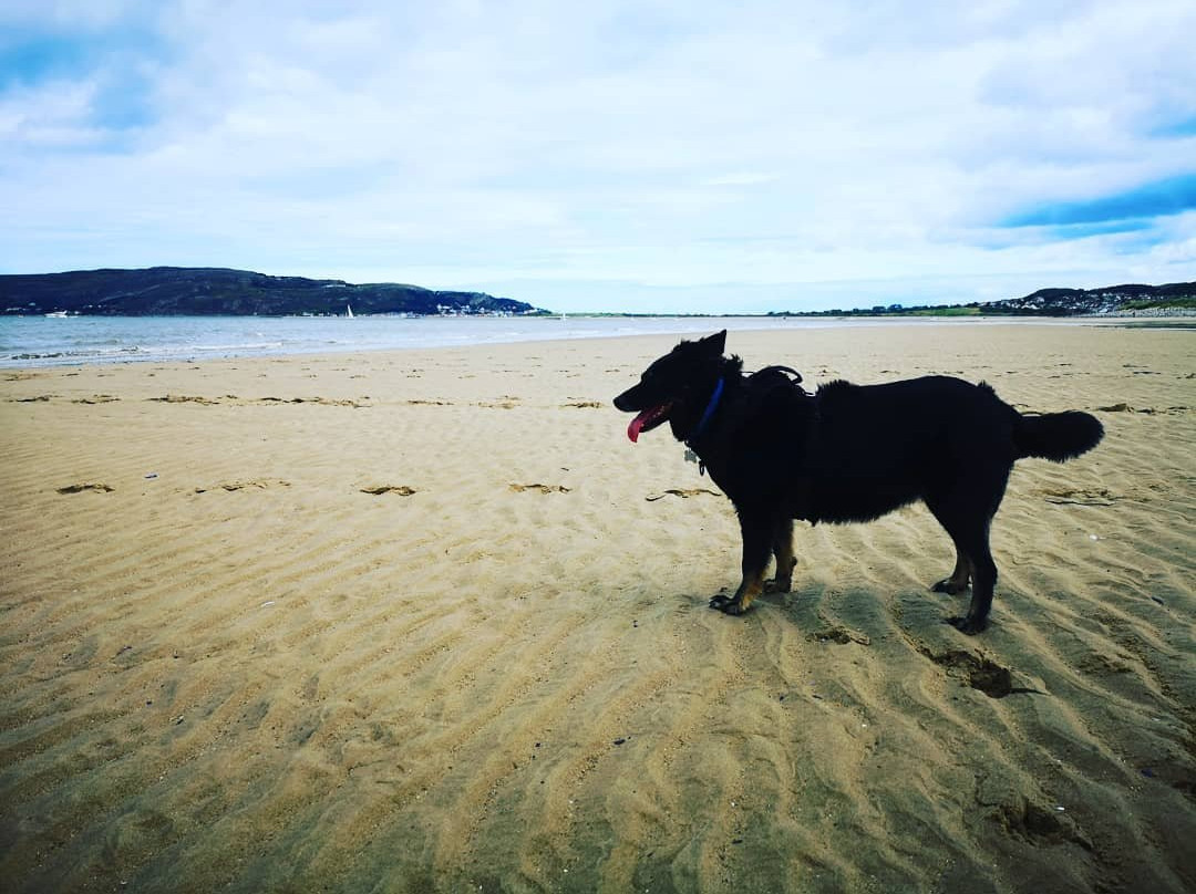 Conwy Morfa Beach景点图片