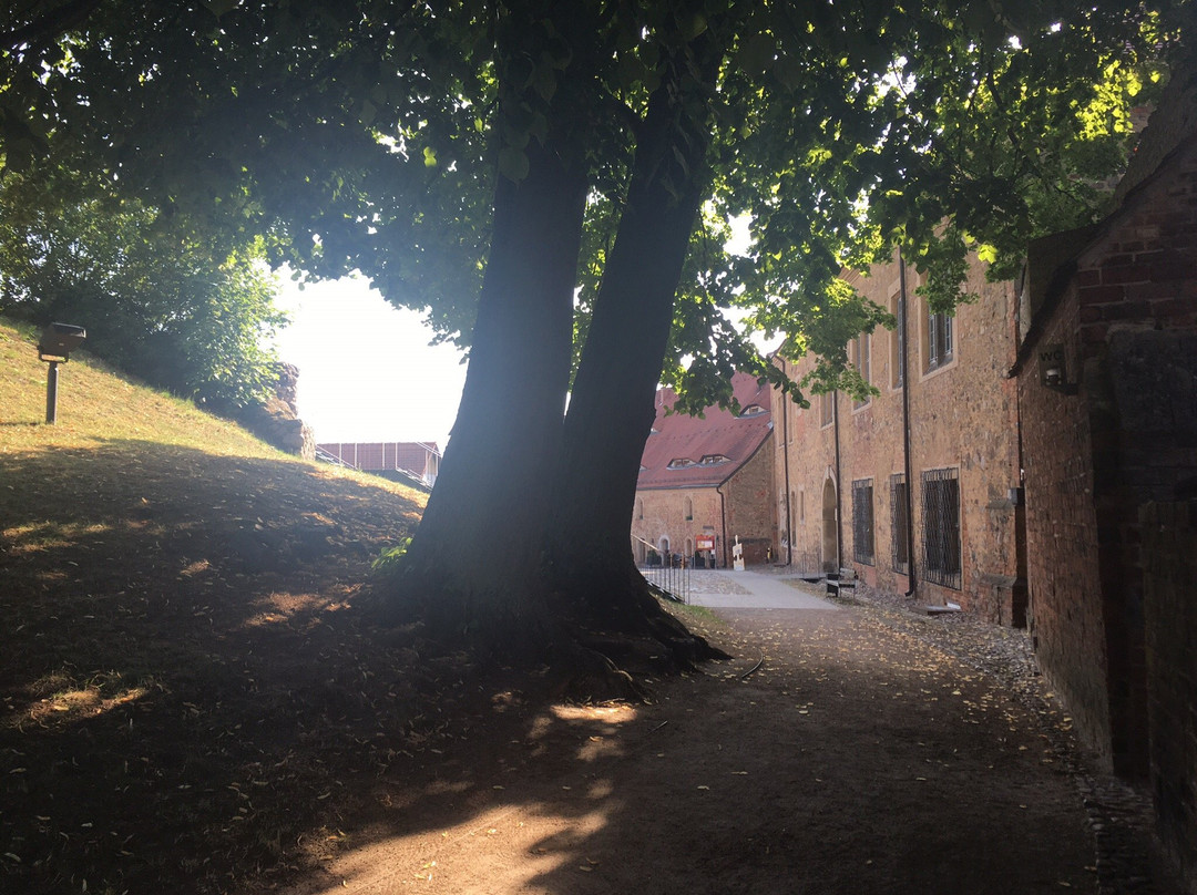 Burghotel Bad Belzig主图