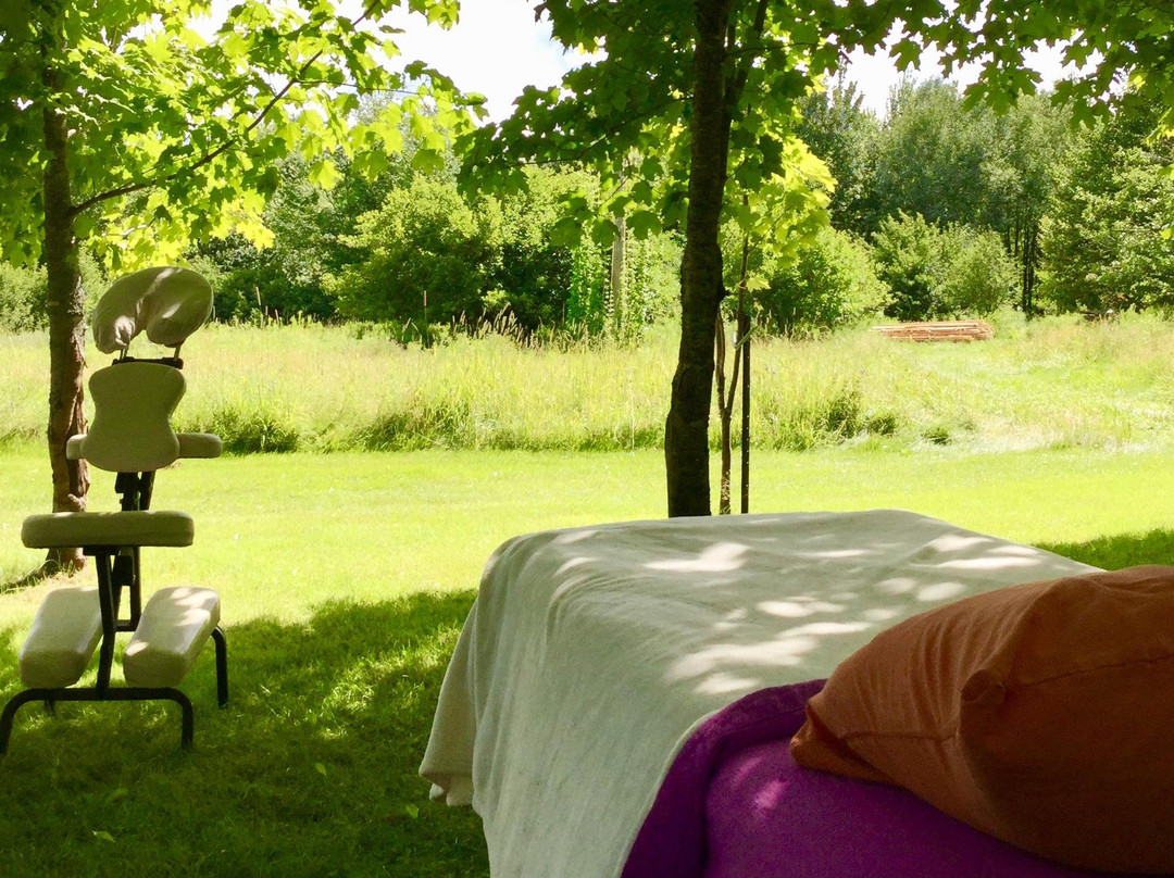 Julia Berasategui Zamora, Réflexologie  Corporelle & Art-Scotstown必去景点