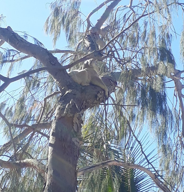 Horseshoe Bay Water Sports-Magnetic Island必去景点