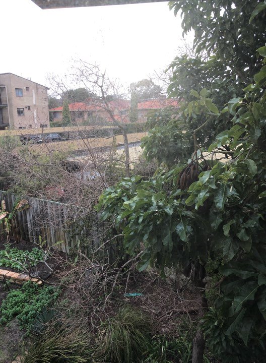 埃斯普勒纳河套房酒店-portrait