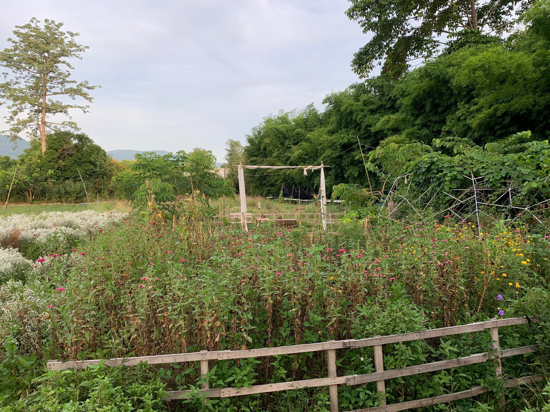 Chic 39 Bed Bar & Bakery主图