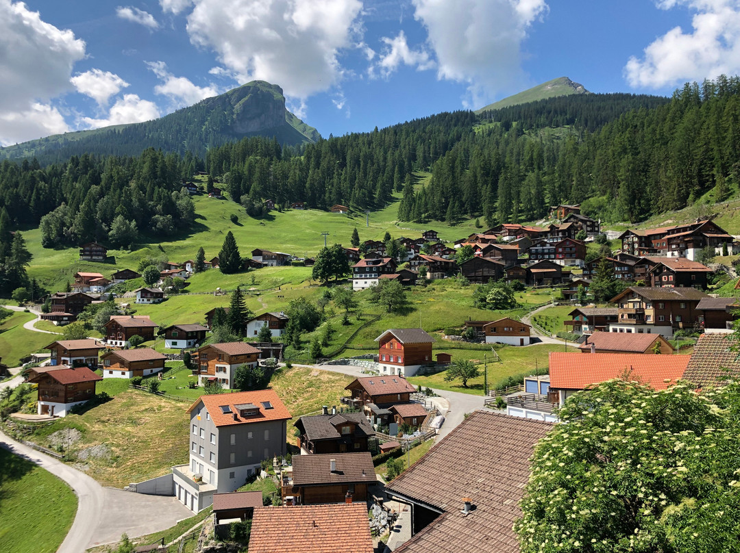 The Alpina Mountain Resort主图