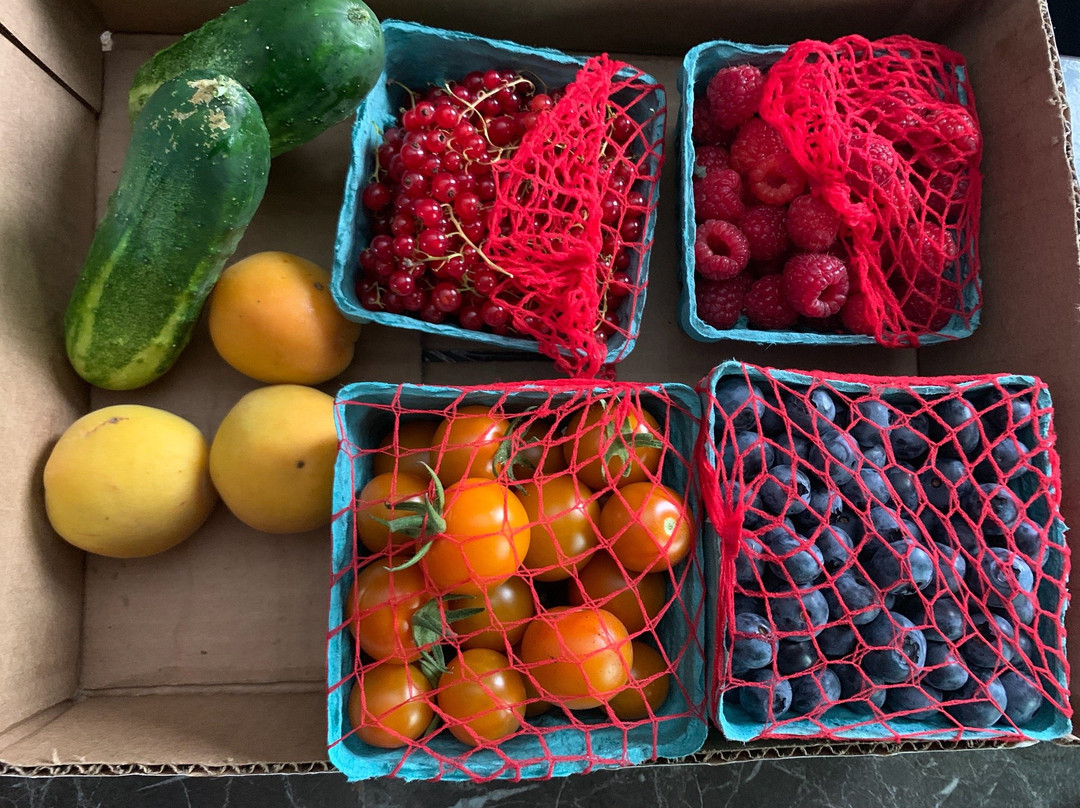 Russell Orchards-Ipswich必去景点