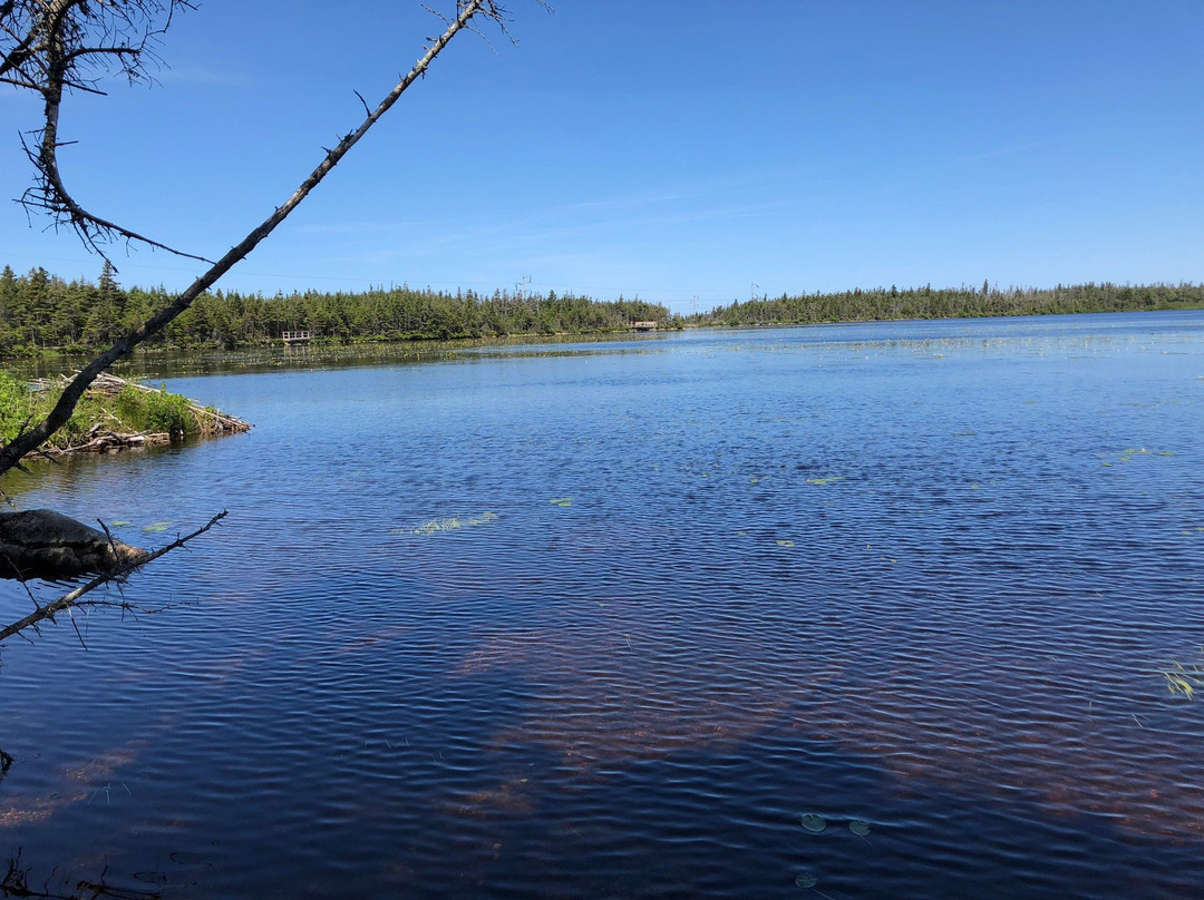 Berry Hill Pond Trail-Rocky Harbour必去景点